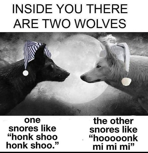 inside-there-are-two-wolves-one-snores-like-honk-shoo-honk-shoo-other-snores-like-hooooonk-mi-mi-mi-63e5fbefdae08-jpeg.jpg