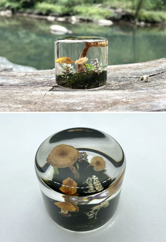 I Dried Out Mushrooms And Plants I Collected And Cast Them In Resin