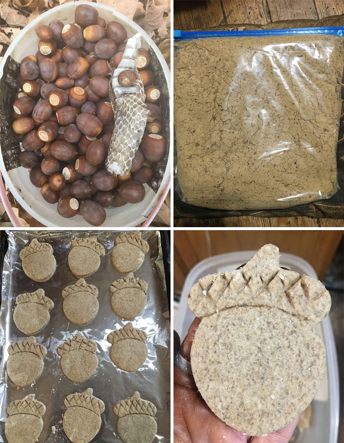 I Made Acorn Flour From The White Oak Acorns In My Yard. Then I Made Cookies