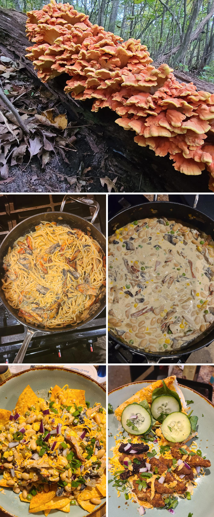 My Cotw That I Found This Year And The Yummy Meals I Made With It