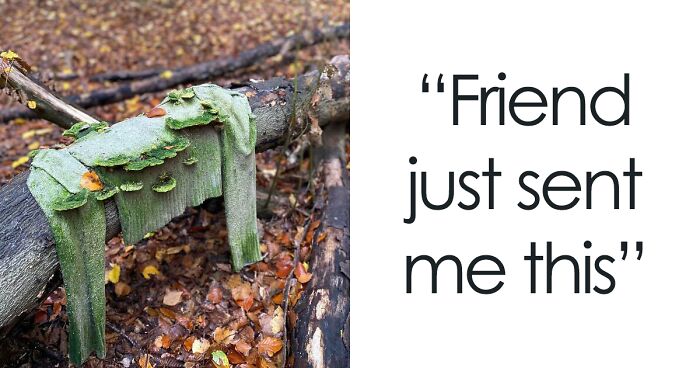 50 Times People Found Such Amazing Free Goods In The Wild, They Just Had To Share It (New Pics)