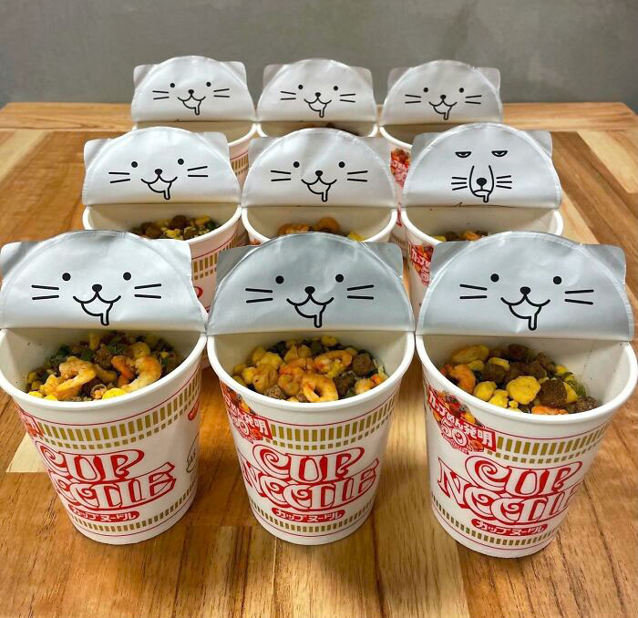 If You Have A Cup Of Noodles In Japan, You'll Get Cats On The Inside Of The Lids. However, At A 6% Chance, You'll Get A Tibetan Fox. Middle Right