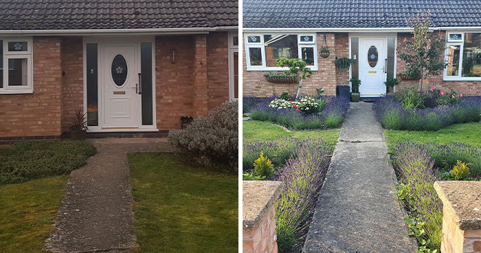 This Online Community Is Celebrating Good Landscaping, And These 35 Pictures Prove Just How Effective It Can Be