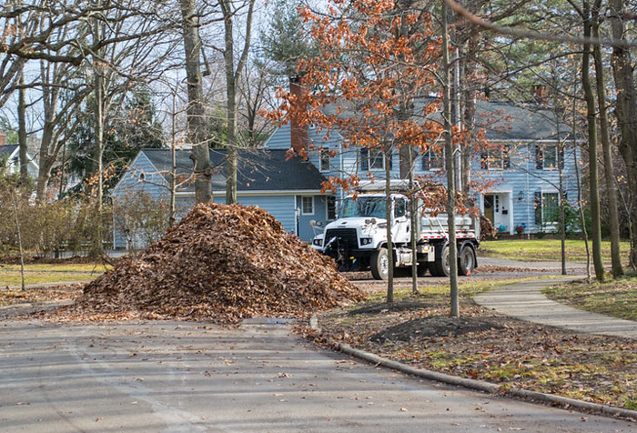 A leaf collection company sets ridiculous requirements and a man collects all the leaves in his neighborhood to create a 12 foot pile