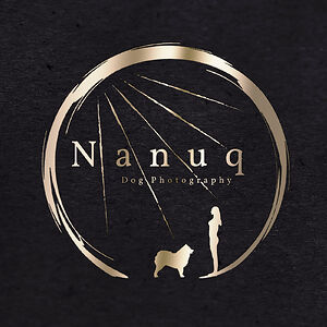 Nanuq Dog Photography