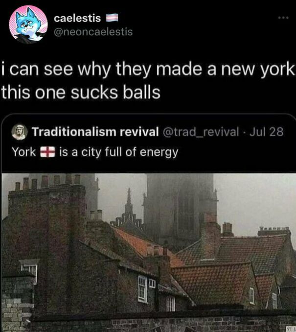 Funny Images From This Twitter Account!