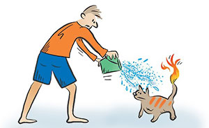 One-Panel Comics Filled With Absurd Situations And Silly Humor By Tomversation (60 New Pics)