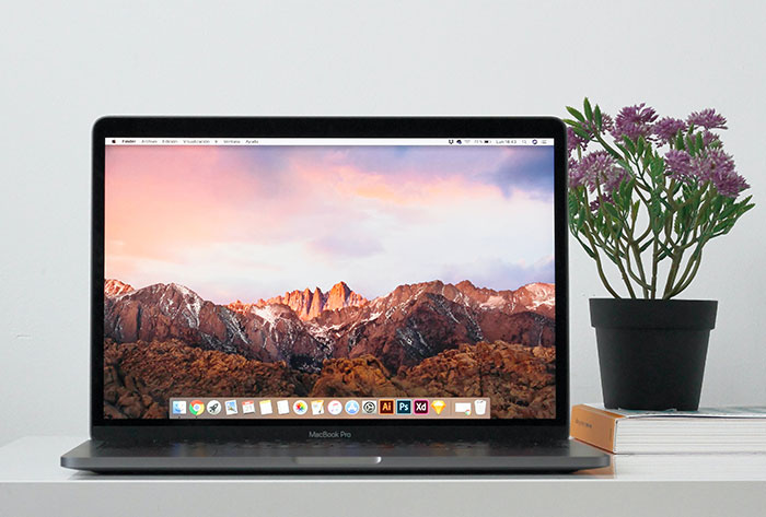 MacBook on the table with flower in pot