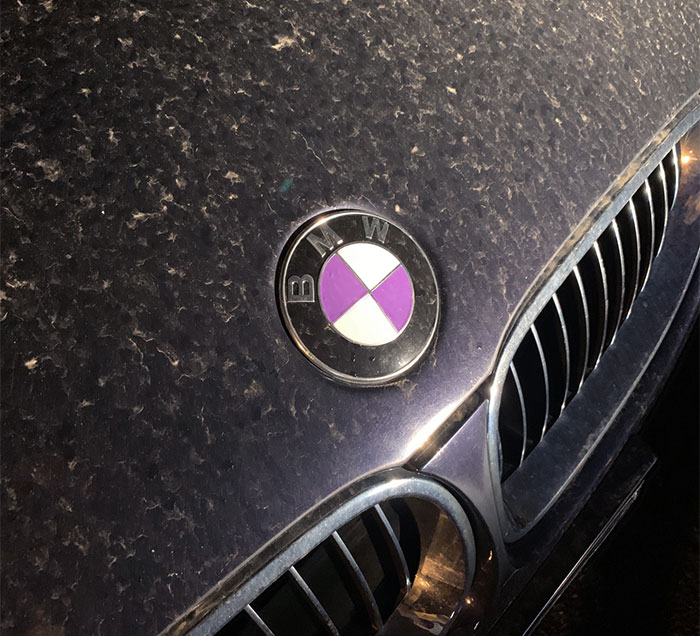 BMW Logo I Saw On My College Campus Today