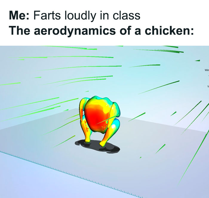 That Chicken Kinda Thicc Tho
