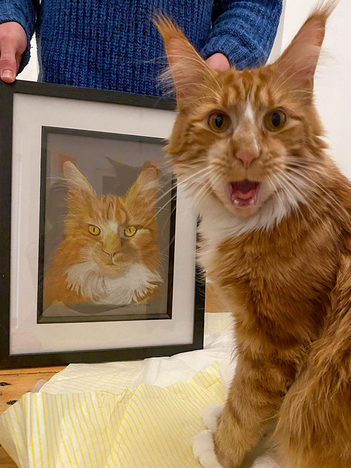 Today Is My Kitten's First Birthday. My Mum Got This Painting Of Him, And He Was Very Surprised