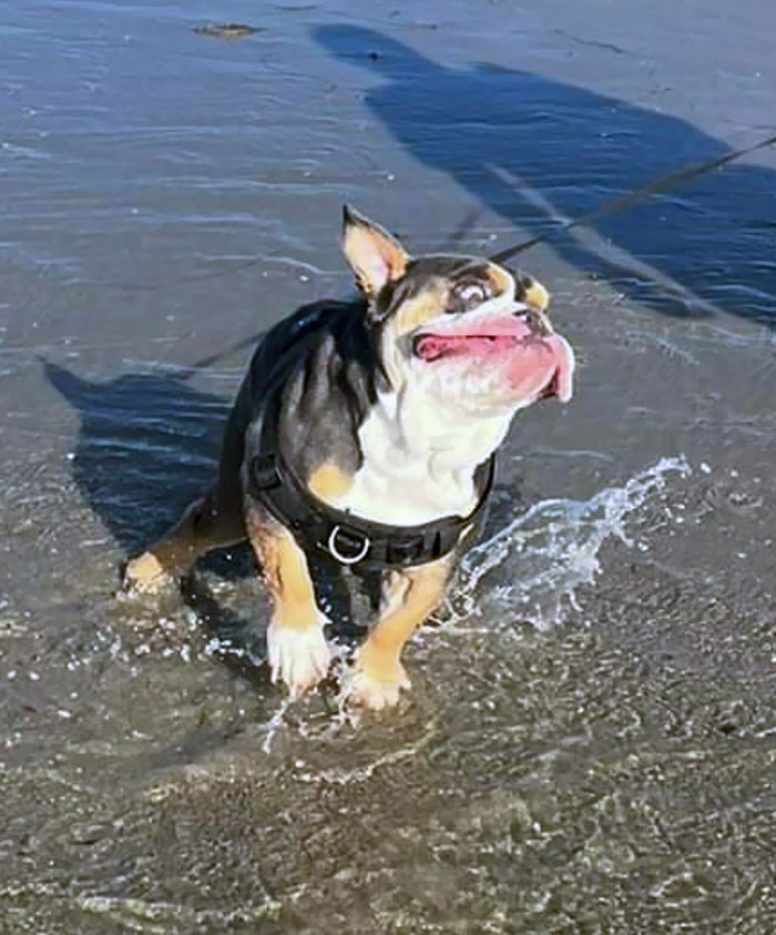 When It's Your First Time At The Beach And The Water Is Cold