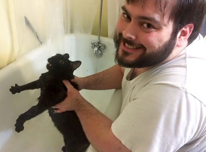 First Bath. Cat Rolled Around In Something Unknown And Paid For It