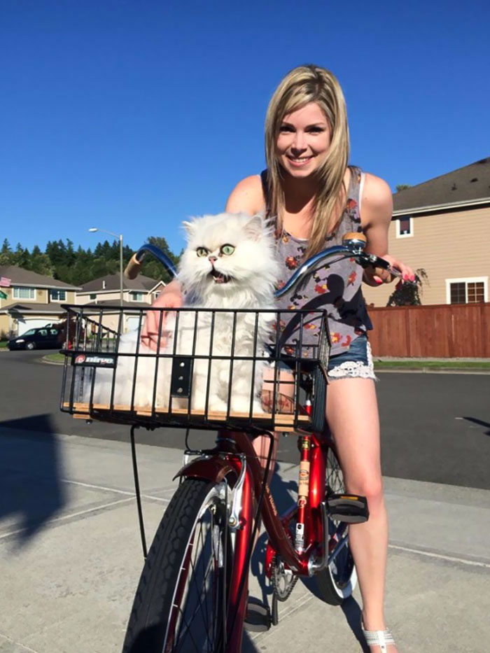 Cat's First Bike Ride. She Was Not Pleased