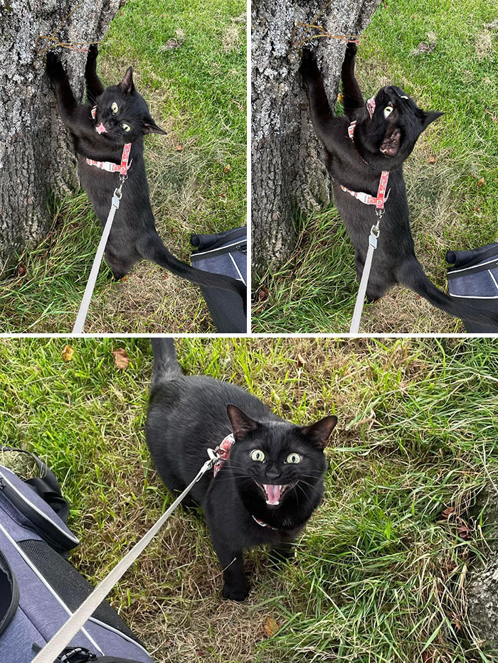Kevin's First Time Outside