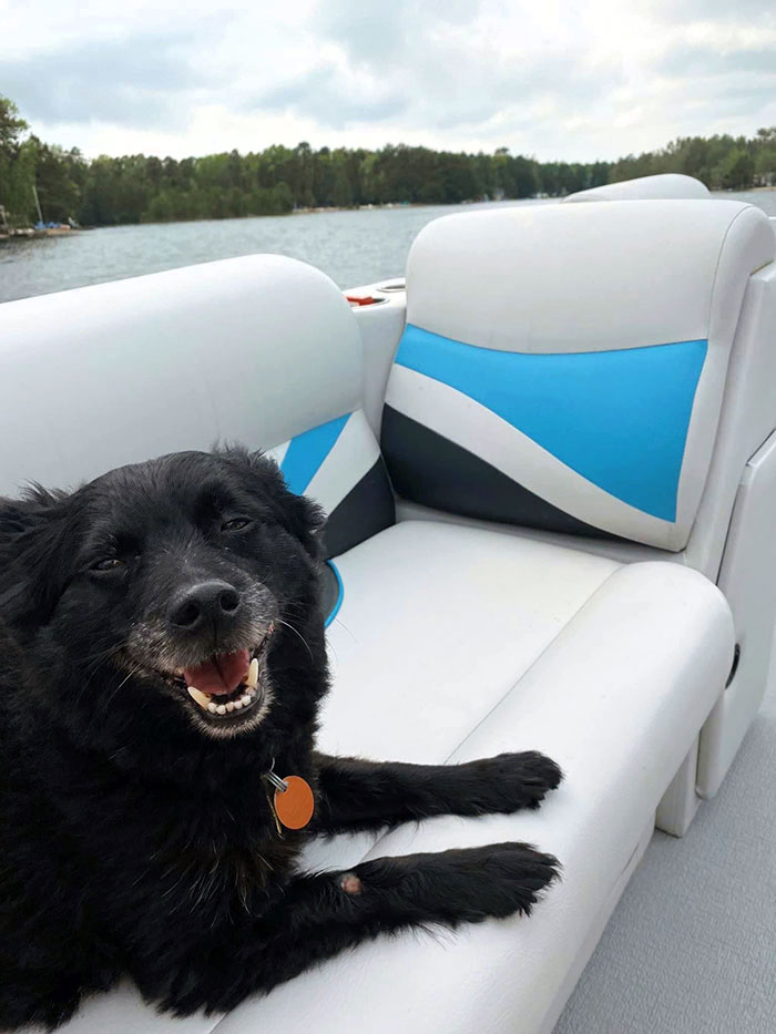I Took My Dog On His First Boat Ride, And He Loved It