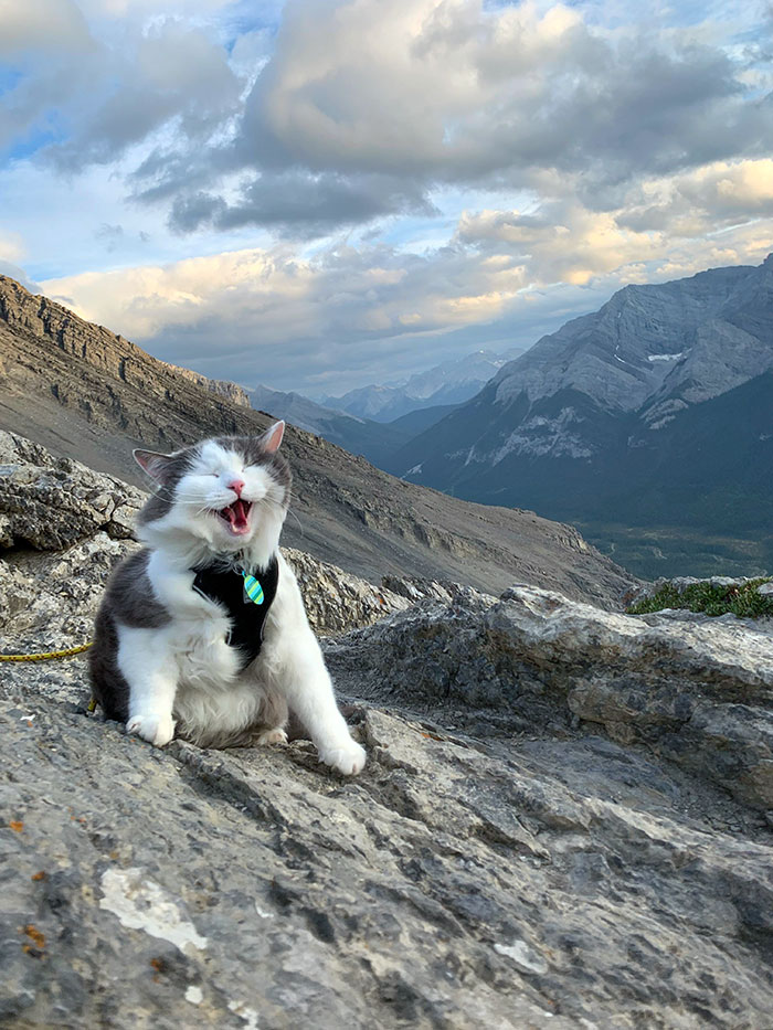 Gary Was Pretty Excited About Reaching His First Ever Summit