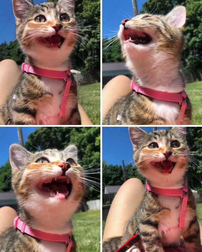 Clara's First Trip To The Backyard. I Think She Liked It