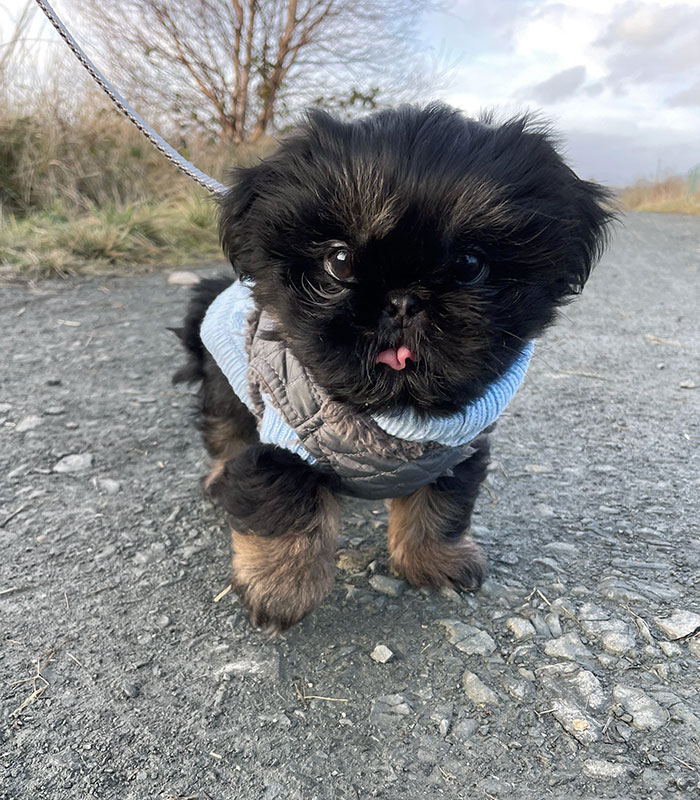 He Went For His First Walk
