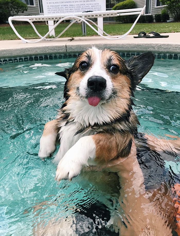 Rudy fue a nadar por primera vez 