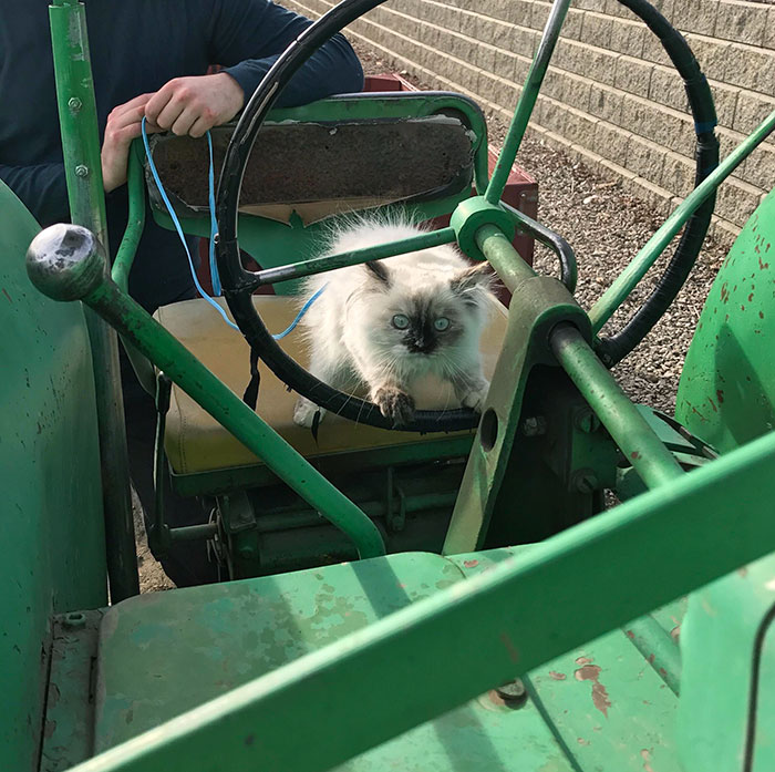 First Time On A Tractor