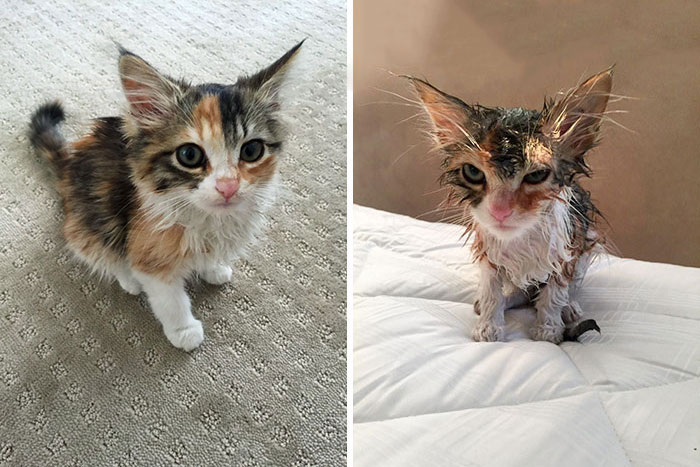 Her First Shower. Before vs. After
