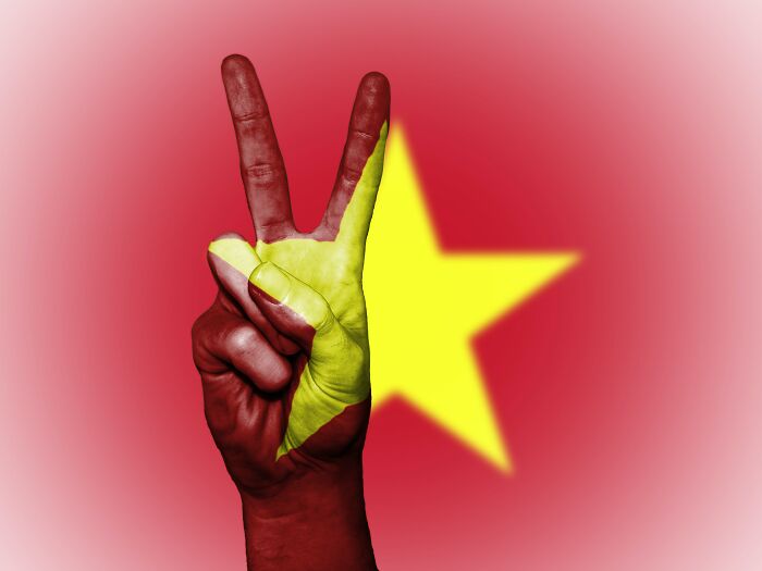 Person Holding Peace Sight And A Vietnam Flag Behind His Arm 