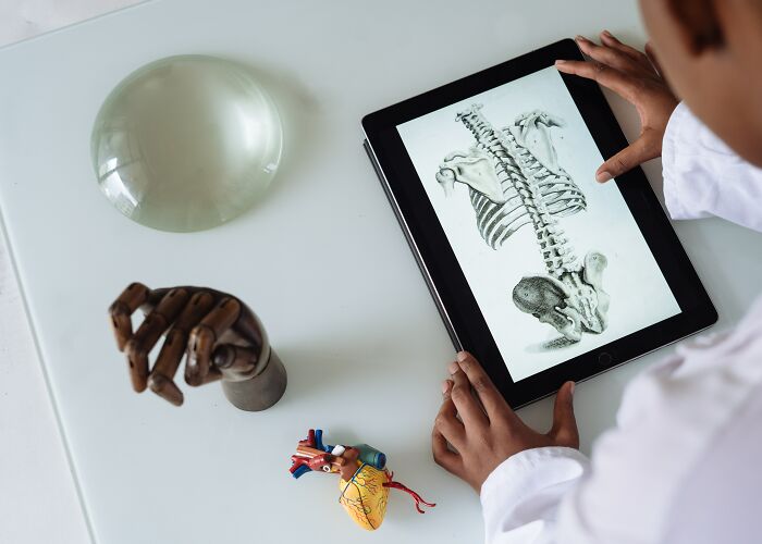 Student Learning Anatomy On A Tablet 