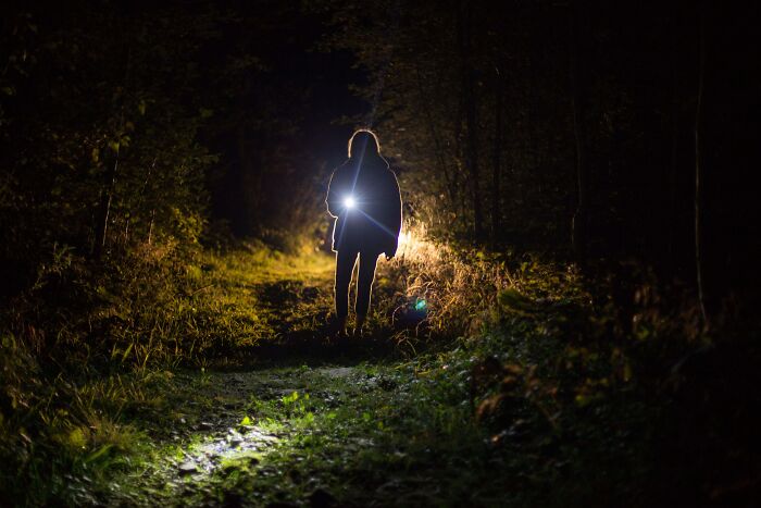 Person Walking In Dark Forrest Using A Flashlight 