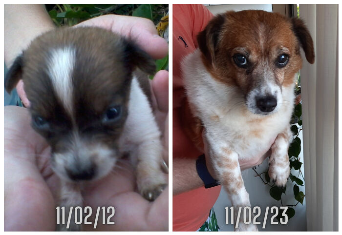 Matildo Is 11 Y.o. Now. He Was Found In A Abandoned House