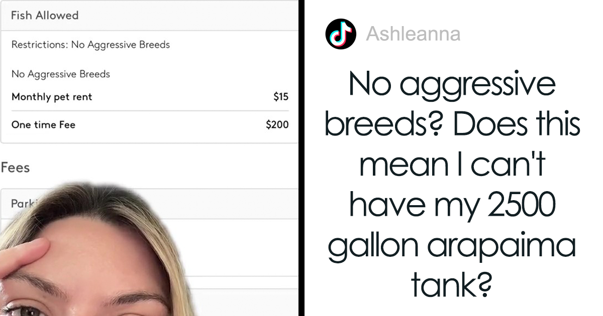 Woman Speechless Over Landlord Charging Her 200 Goldfish Fee And