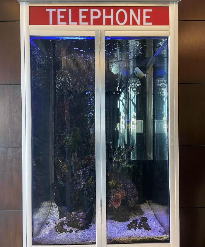 This Phone Booth Turned Into A Fish Tank