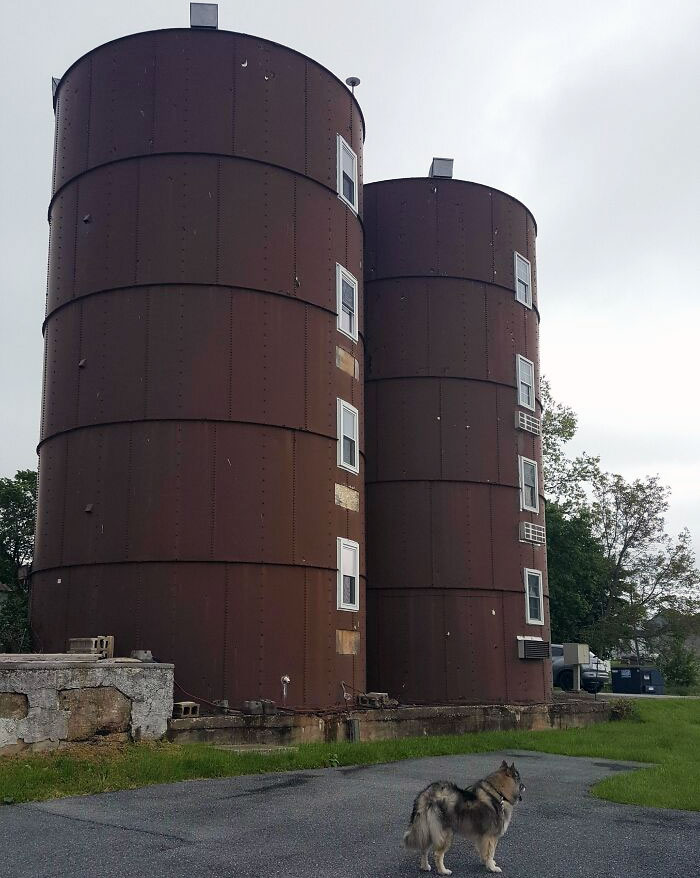 These Silos Were Turned Into Apartments