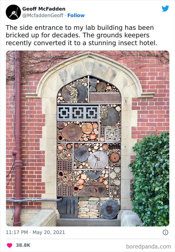 That's Cool, But Are We Just Going To Gloss Over The Presumably Spine-Tingling Story Of Why The Side Entrance To Your Lab Has Been Bricked Over For Decades