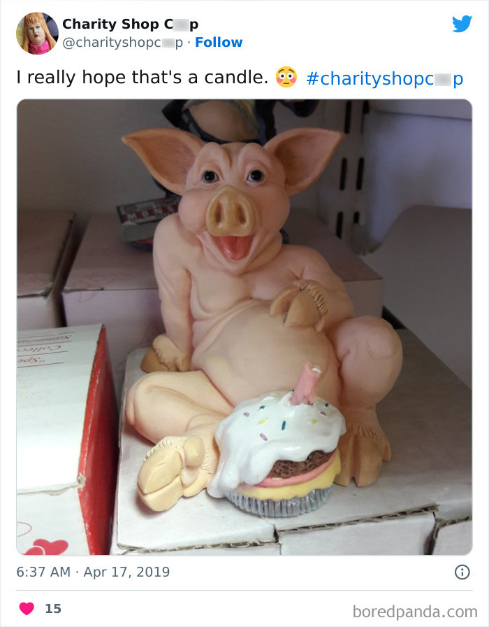 Ridiculous-Charity-Shop-Finds