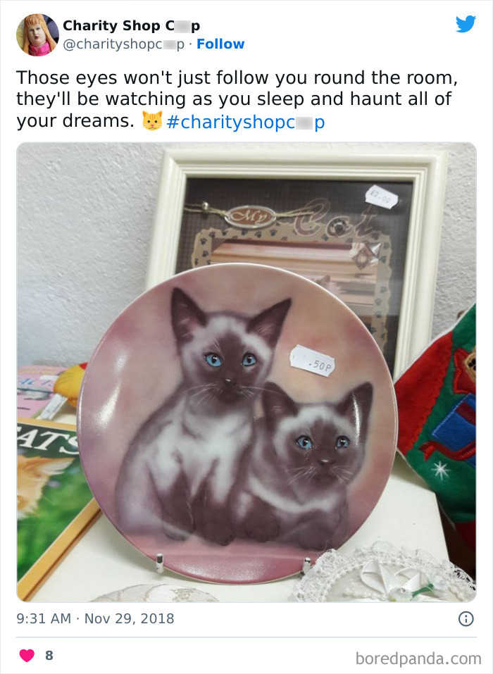 Ridiculous-Charity-Shop-Finds