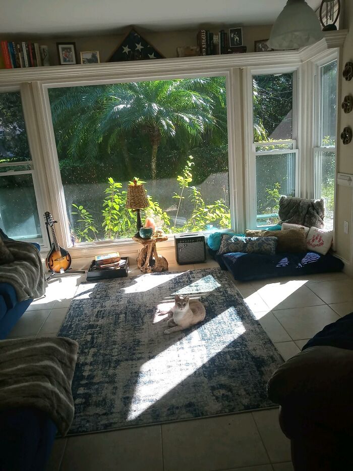 My Music Room That The Cats Get To Enjoy More Than We Do