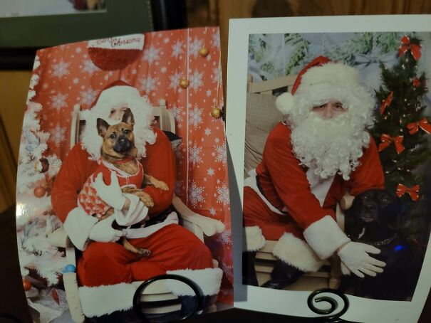 santa-puppies-63dda7ae1f725.jpg