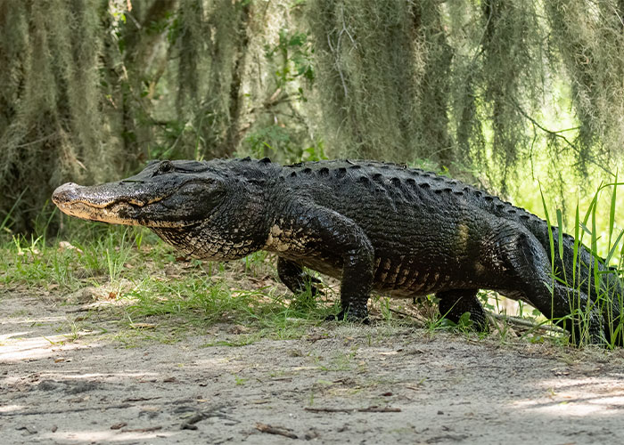 30 Americans Warn Foreigners About What Things To Never Do In The US