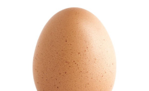 Hey Pandas, What Is The Best Picture In History?