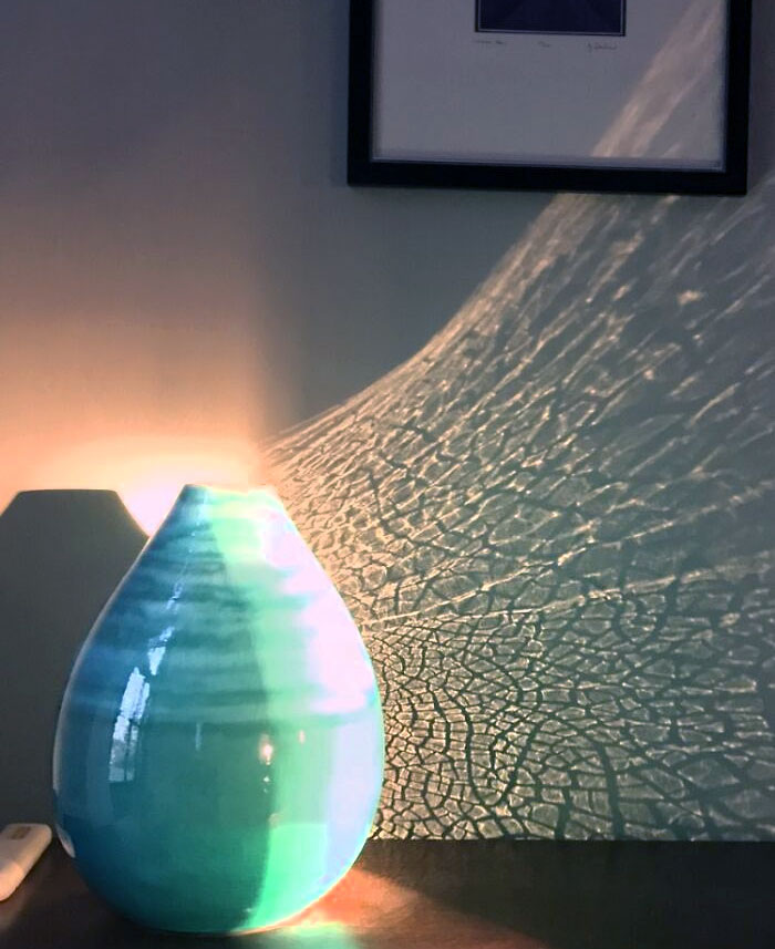 Cómo la luz del sol que toca el jarrón se refleja en la pared