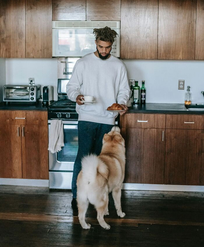 Dog Watching His Owners Breakfast 