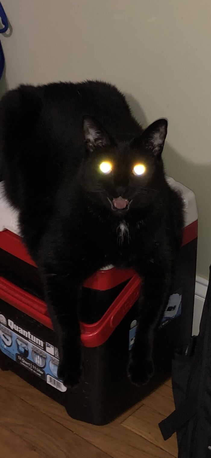 25 Images That I Found Clearing My Drive