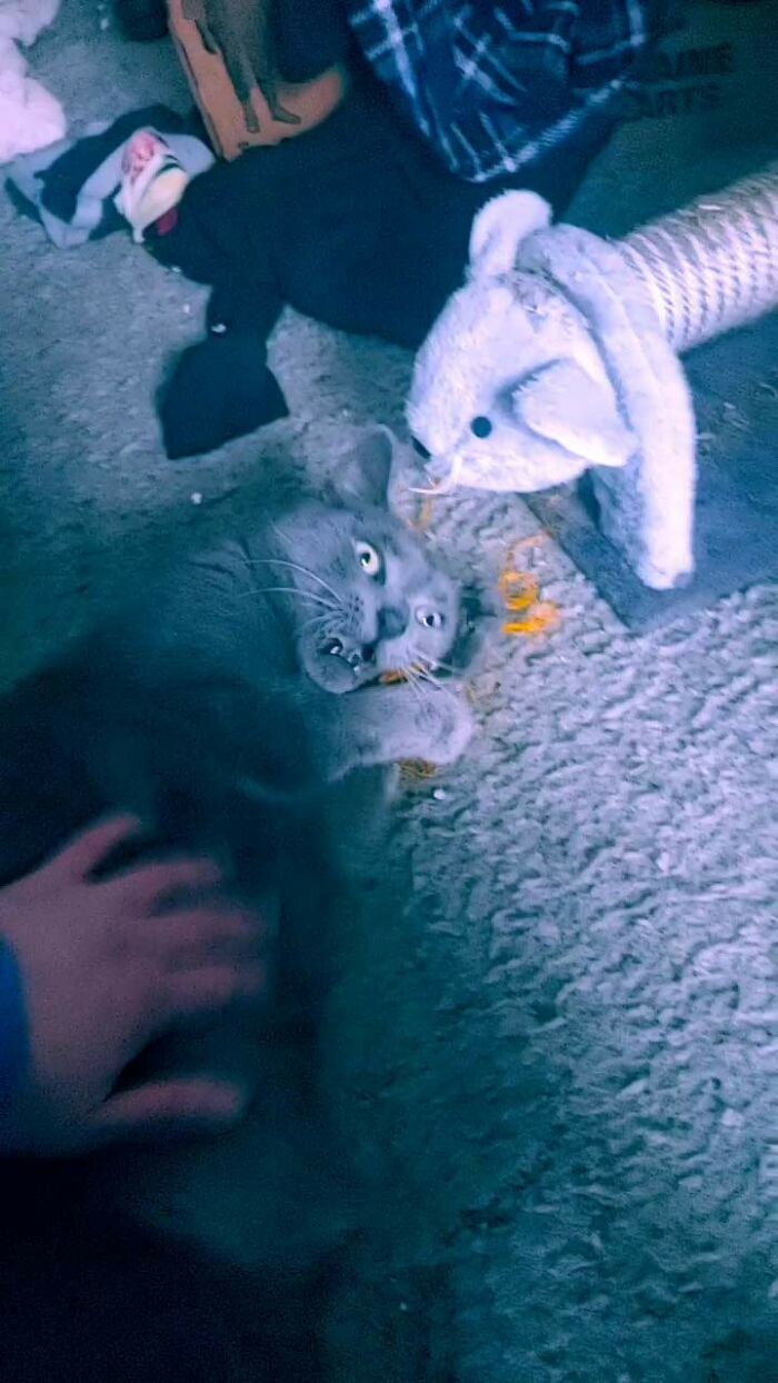 "It's My String! You Can't Have It!"