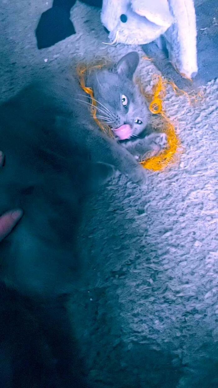 This Is Baba Yaga. She Is Beauty, She Is Grace