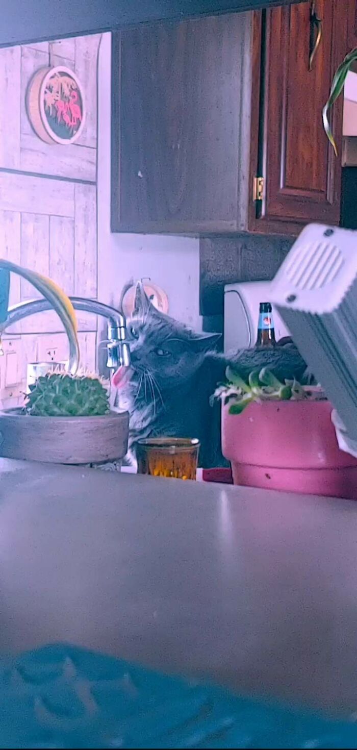 This Sweet Little Weirdo Is Baba Yaga