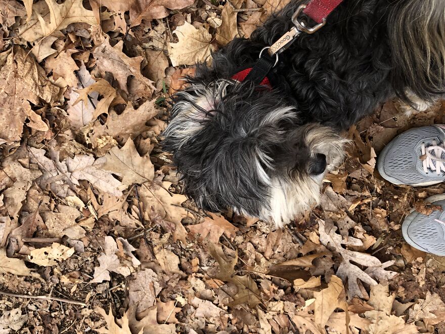 My Baby Girl In The Leaves
