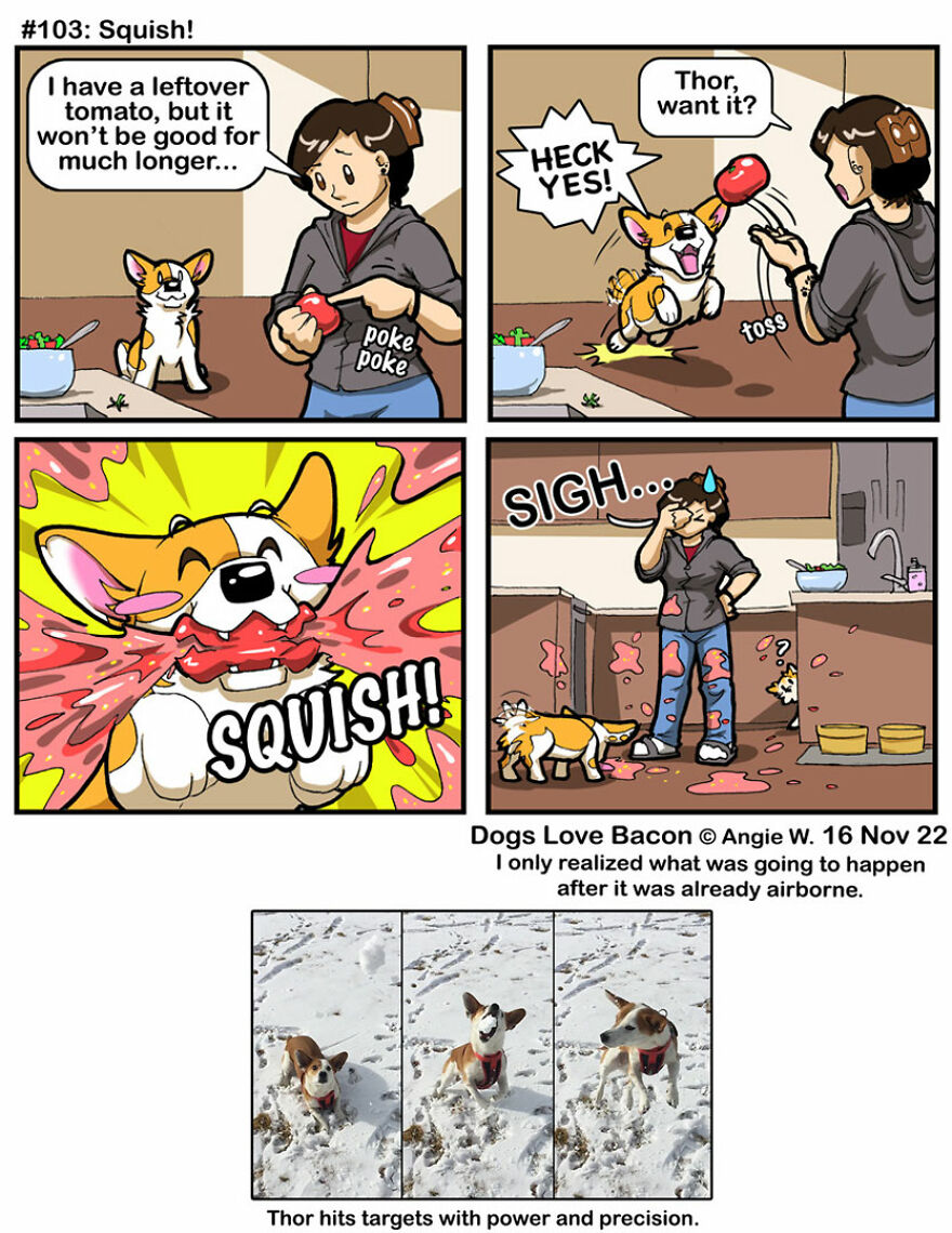 25 Comics That I Drew About The Lives Of My Rescue Dogs!