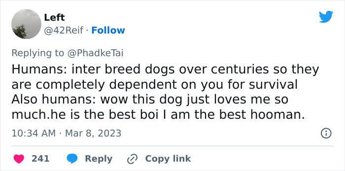 “Your Dog And Cat Do Not ‘Love’ You”: Person Attempts To ‘Debunk Myth’ On The Nature Of Pet-Owner Relationships, Gets Slammed Heavily In Return “Your Dog And Cat Do Not ‘Love’ You”: Person Attempts To ‘Debunk Myth’ On The Nature Of Pet-Owner Relationships, Gets Slammed Heavily In Return