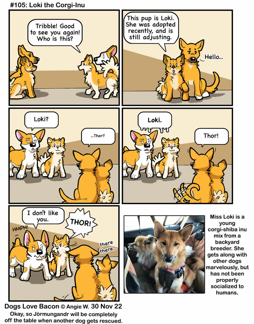 25 Comics That I Drew About The Lives Of My Rescue Dogs!
